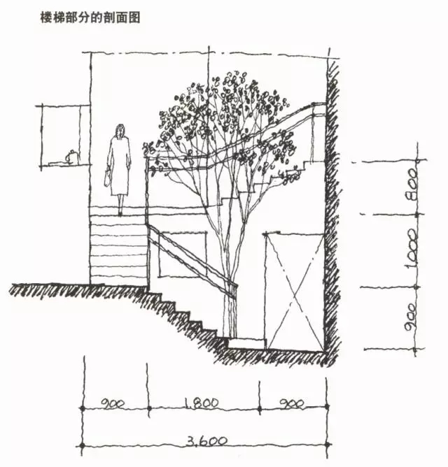 楼梯部分的剖面图