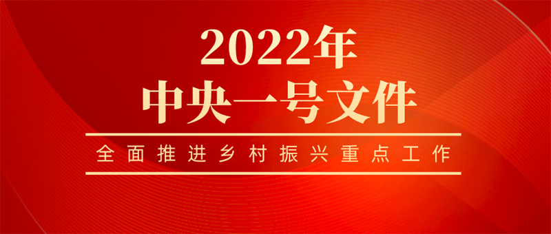 2022年中央一号文件发布乡村振兴有哪些重点工作